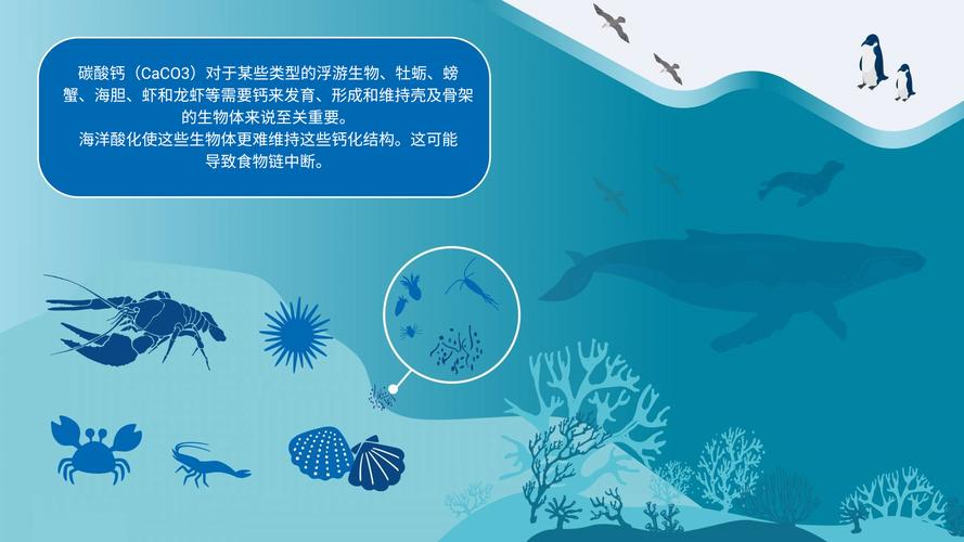 北极生态系统如何应对海洋酸化？生态学挑战