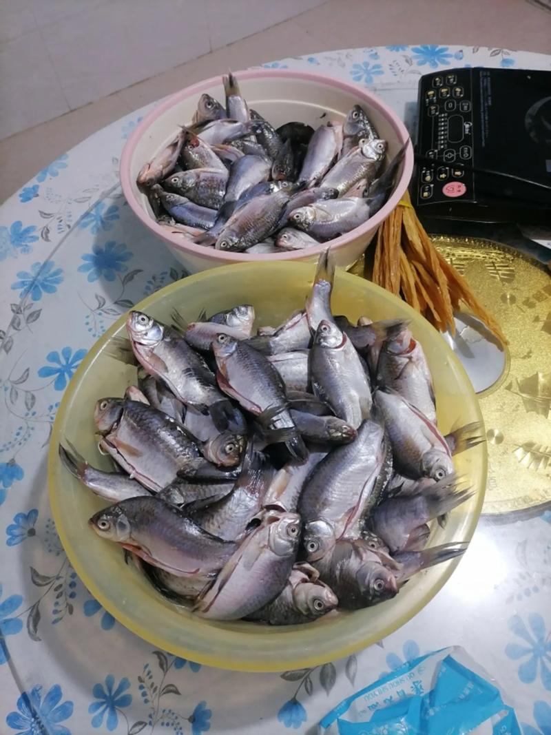 处理活鱼的去鳞去内脏