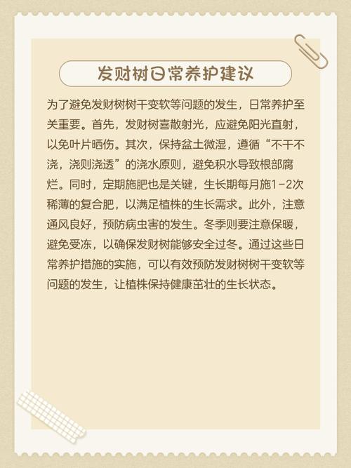 发财树叶子发软怎么救?可能的原因和解决方法