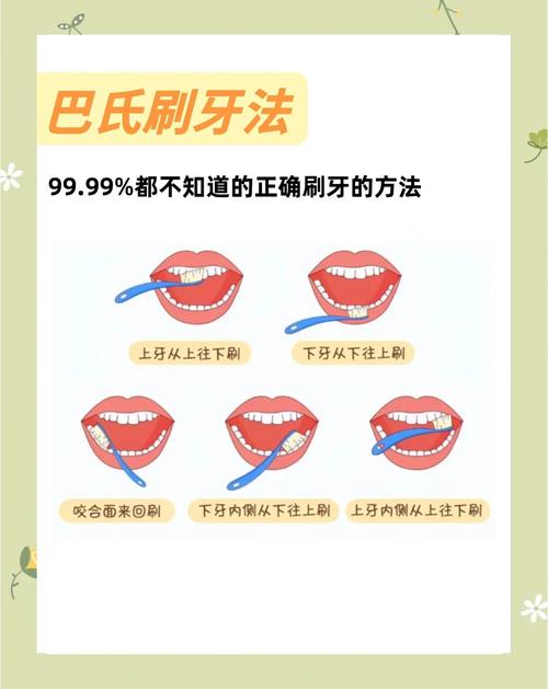 刷牙的巴氏刷牙法