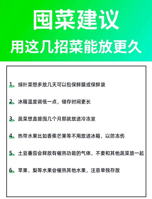 如何正确储存绿叶蔬菜？保鲜期延长一倍的秘诀