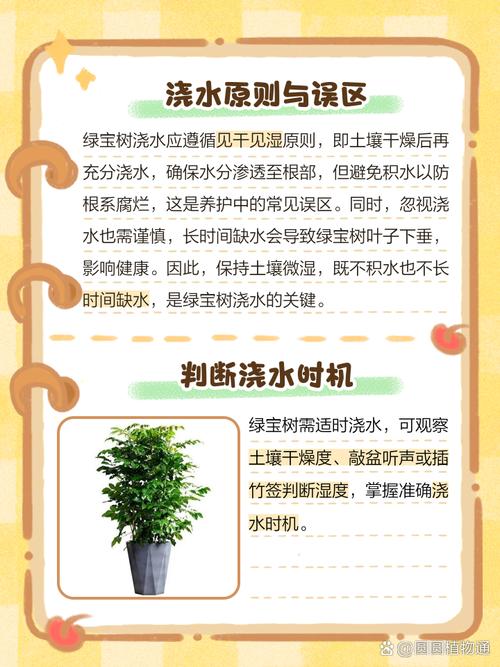 植物浇水？见干见湿是通用法则！