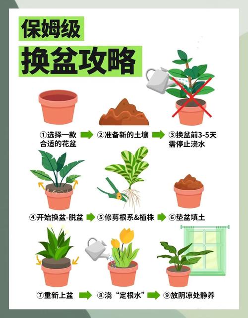 花盆修剪误区解析！健康生长要点