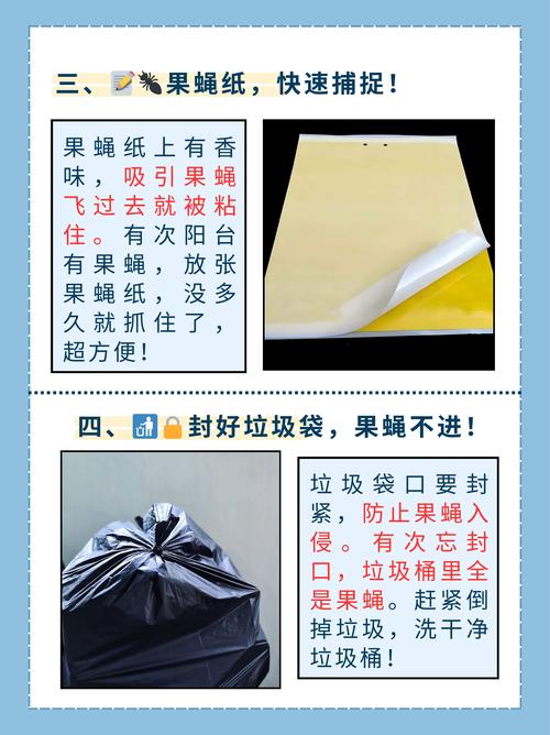果蝇滋生源头清除
