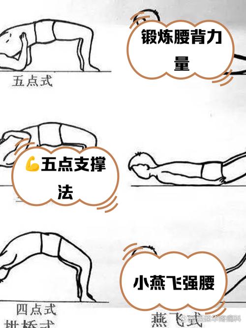 腰背肌锻炼小动作
