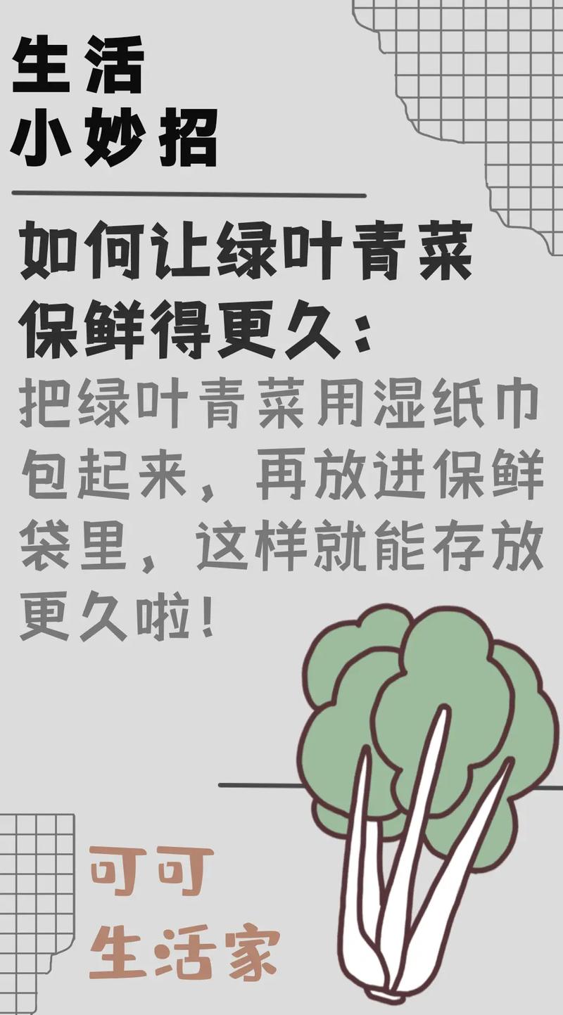 保存绿叶蔬菜持久的诀窍