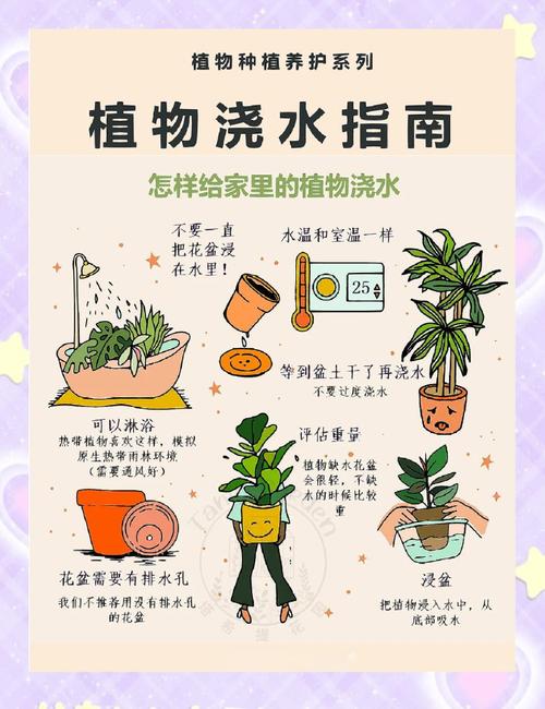 花盆浇水技巧！避免烂根黄叶