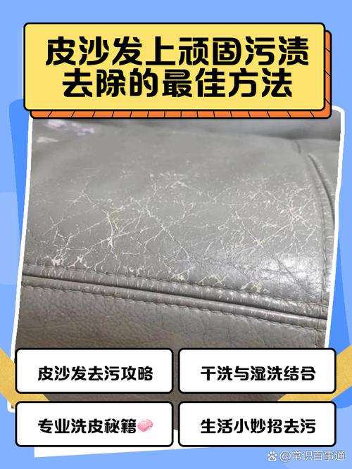 皮质沙发防污渍误区!污渍测试+清洁方法