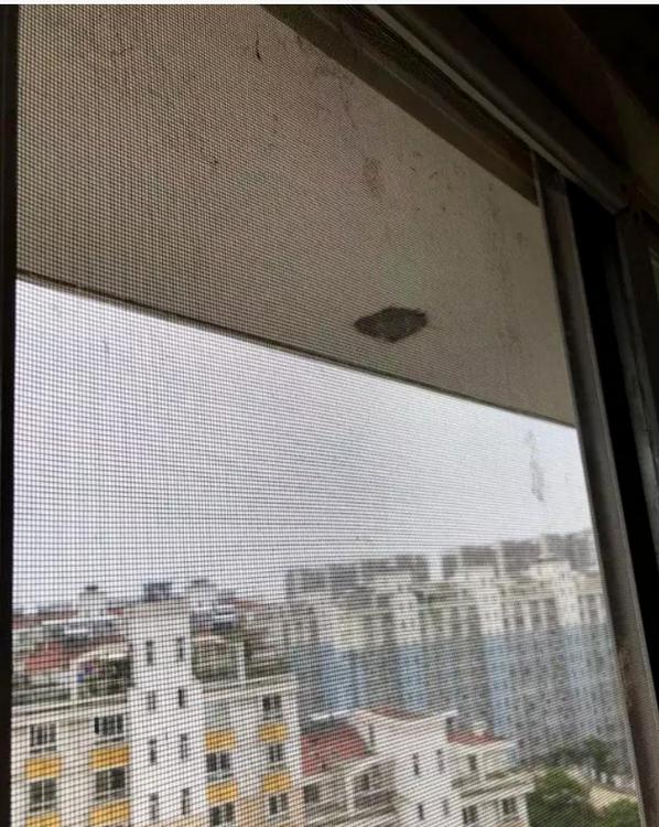 旧袜子改造！清洁纱窗灰尘