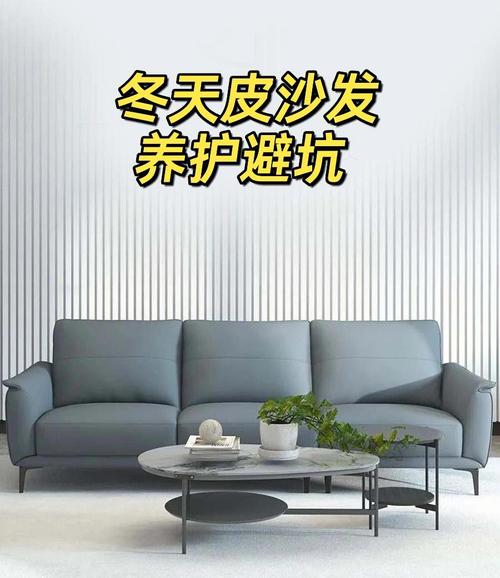 皮质家具防老化保养误区建议!保养周期