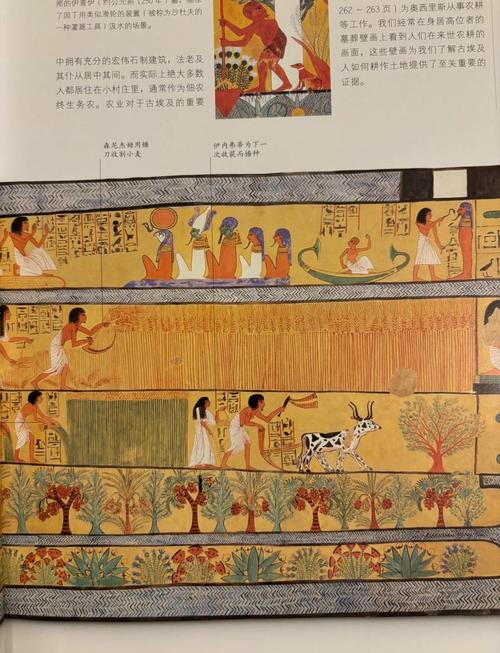 为什么古埃及壁画历经千年不褪色？材料化学分析