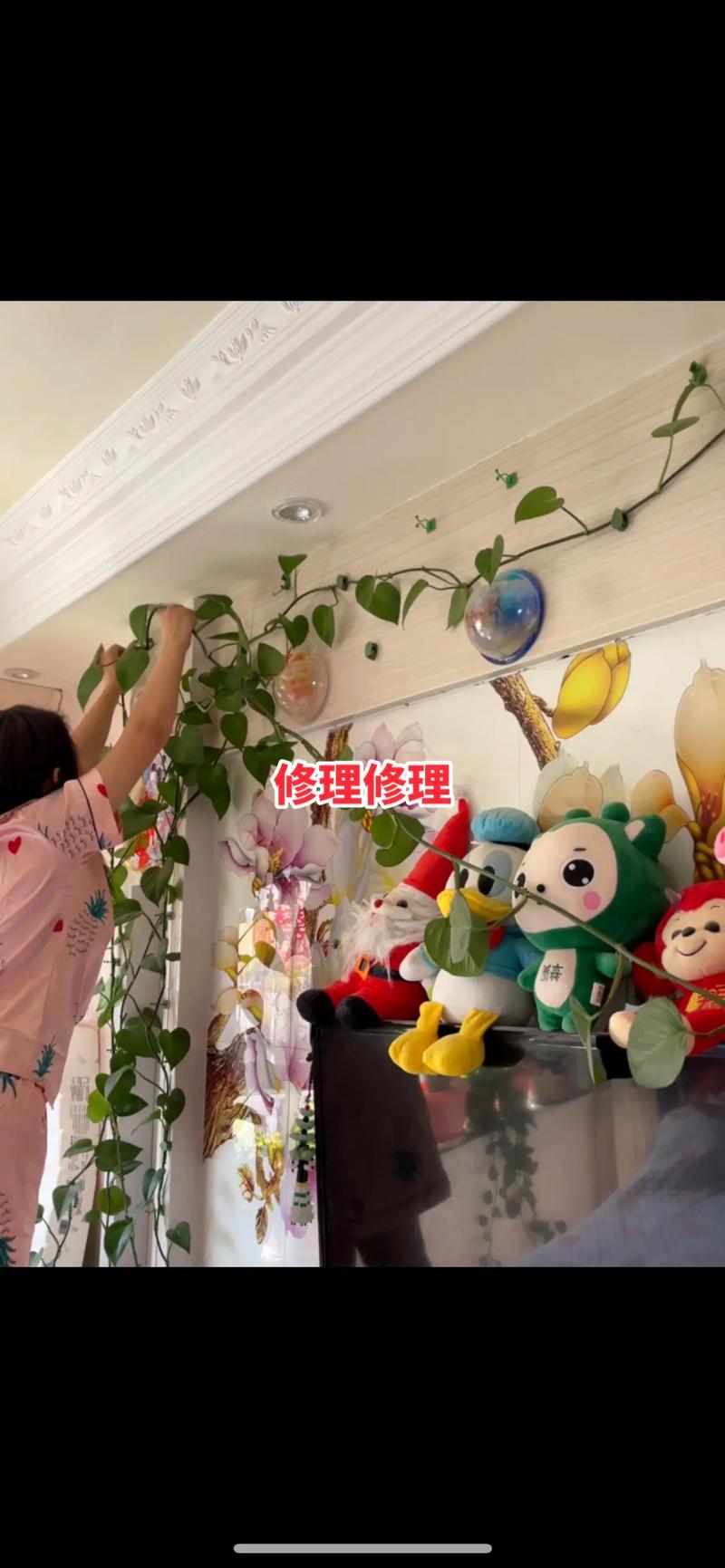 绿萝怎么牵引爬墙？打造绿植墙的方法