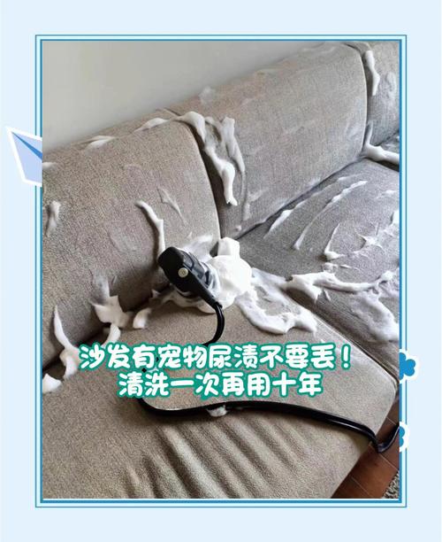 皮质沙发防宠物尿渍！防水隔尿垫 + 生物酶清洁剂