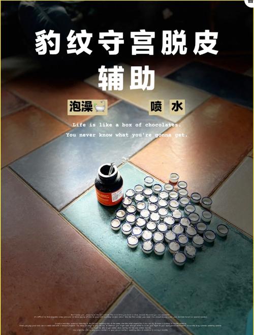 守宫卡皮处理？温水浸泡法