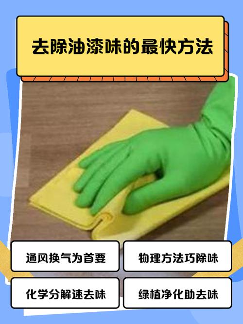 快速去除油漆味:新房入住前如何快速除味?