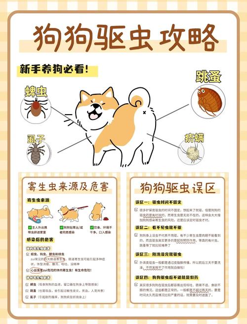 宠物驱虫的必要性