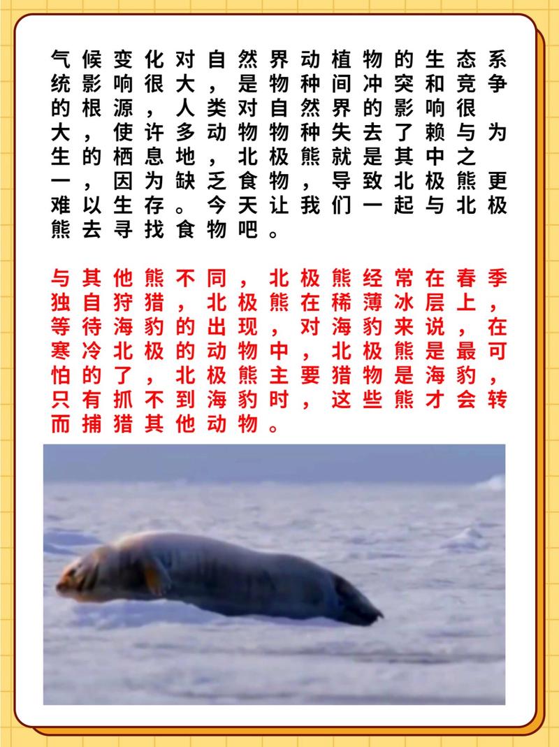 北极熊捕猎策略有哪些？动物行为学观察