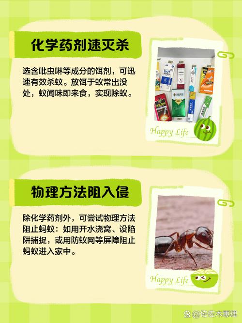 蚂蚁入侵厨房？薄荷精油驱赶它！