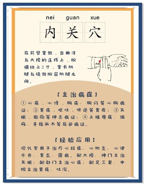 旅行晕车呕吐？按压「内关穴 + 闻柠檬」