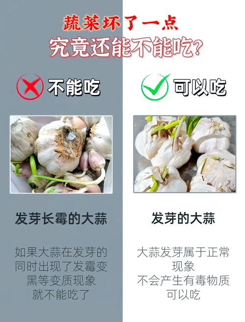 去除手上大蒜洋葱异味