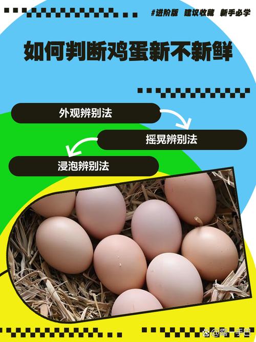如何判断鸡蛋是否新鲜