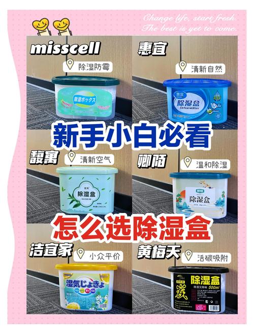 除湿盒液体再利用！浇灌绿植防烂根