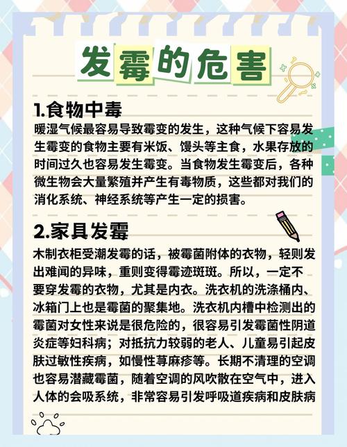 除湿盒放置优化！空间利用最大化方法