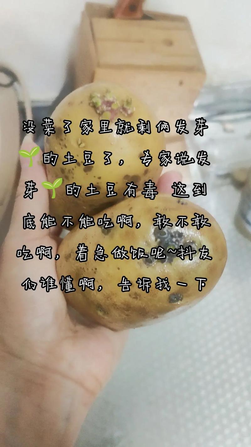 土豆发芽不敢吃?放个苹果试试看!