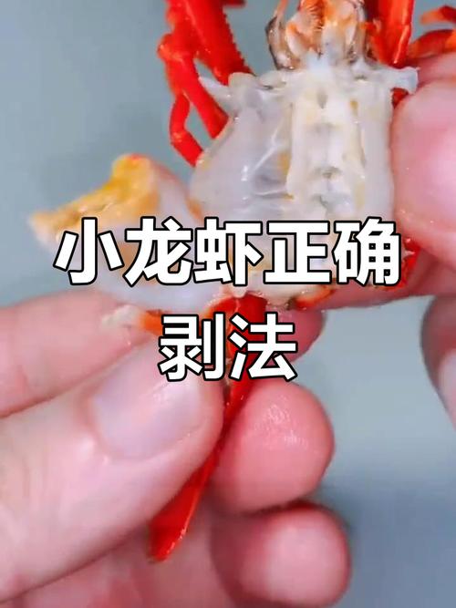 虾线快速去除的技巧