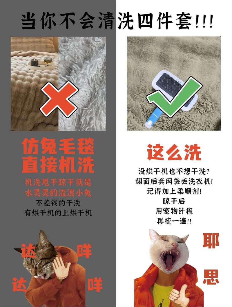 羊毛地毯防螨误区解析!错误方法 + 正确除螨方案