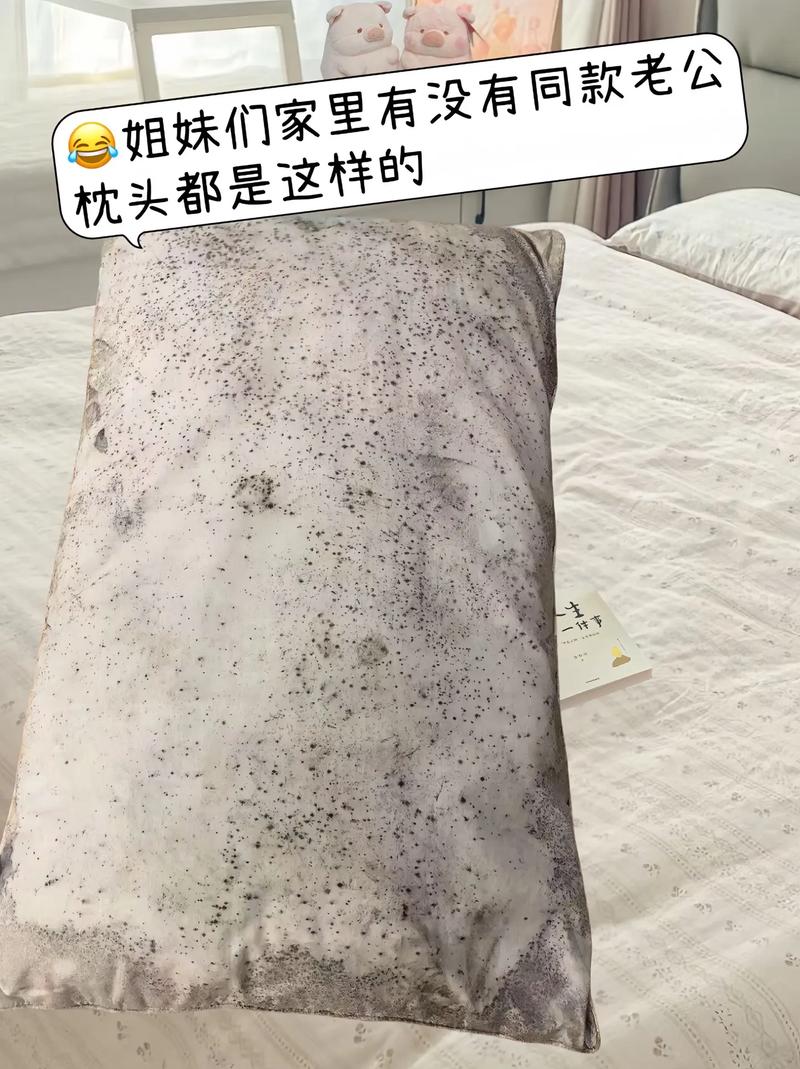 枕芯清洁?定期暴晒除螨虫!