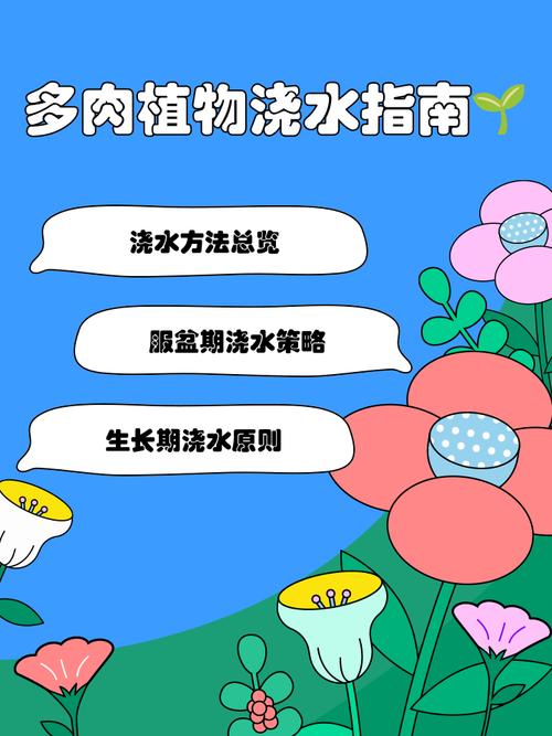 多肉植物浇水的原则