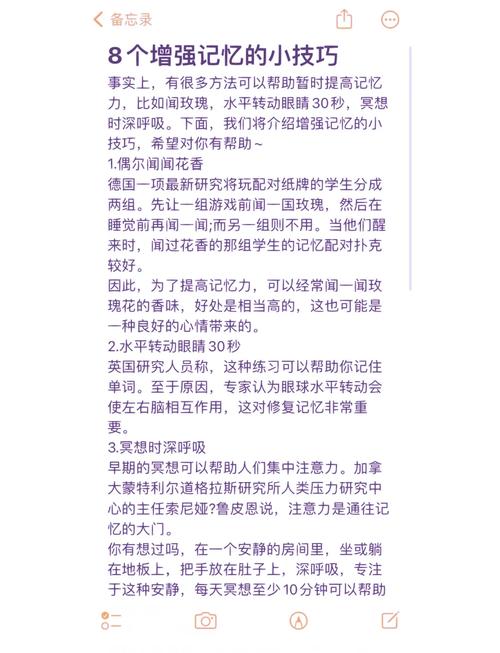 如何通过日常习惯提升记忆力?科学方法与实用技巧