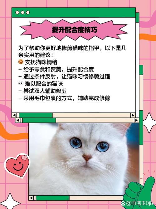宠物指甲护理优化！修剪后护理步骤
