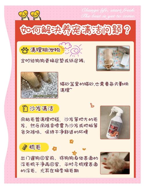 过期洗发水用途!清洗宠物窝