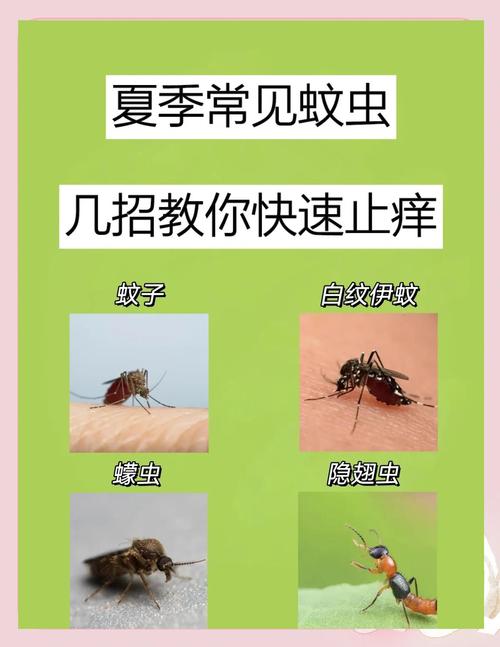 被蚊虫叮咬后的快速止痒法