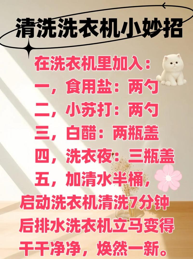 洗衣机内部怎么清洁?学会这招再也不花钱找人