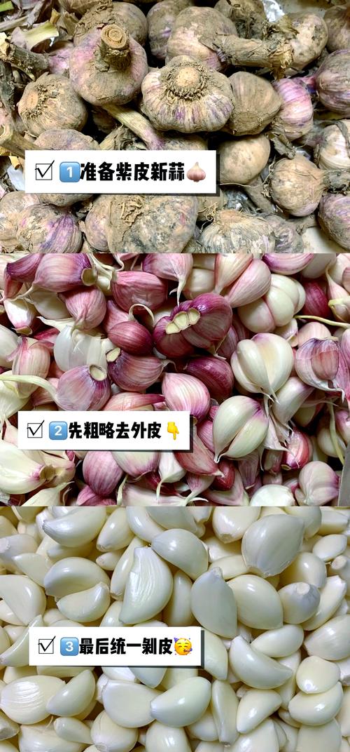 腌腊八蒜用紫皮蒜还是白皮蒜?变绿的关键因素