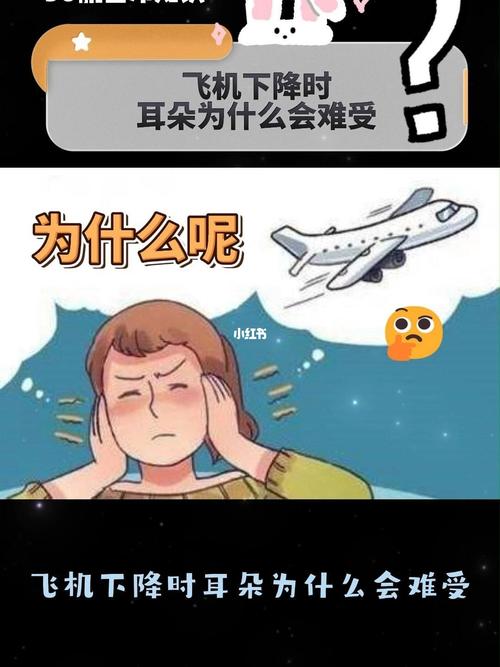 乘坐飞机缓解耳痛