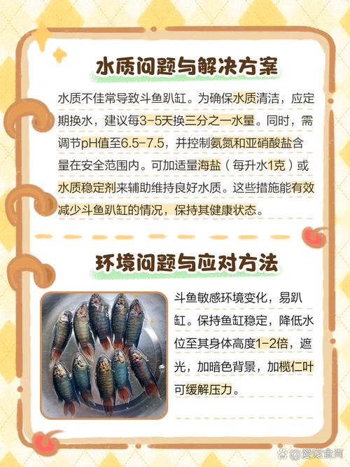 洗米水养鱼?需充分发酵稀释!