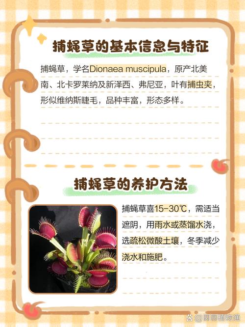 捕蝇草夹子寿命?3-4 次闭合周期