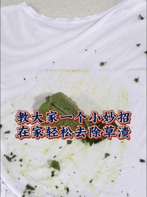 衣服上的草渍怎么去除？这几个方法很有效
