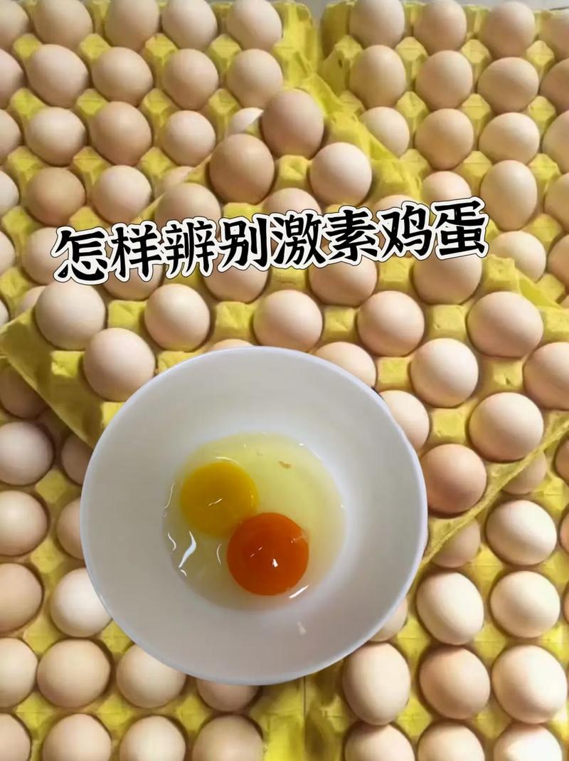 如何挑选新鲜的鸡蛋？养鸡场老板的秘诀