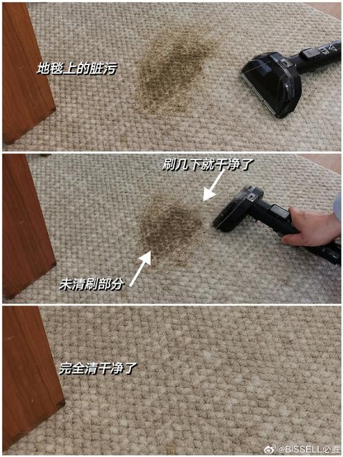 沙发上的尿渍怎么去除?宠物主人必备技巧