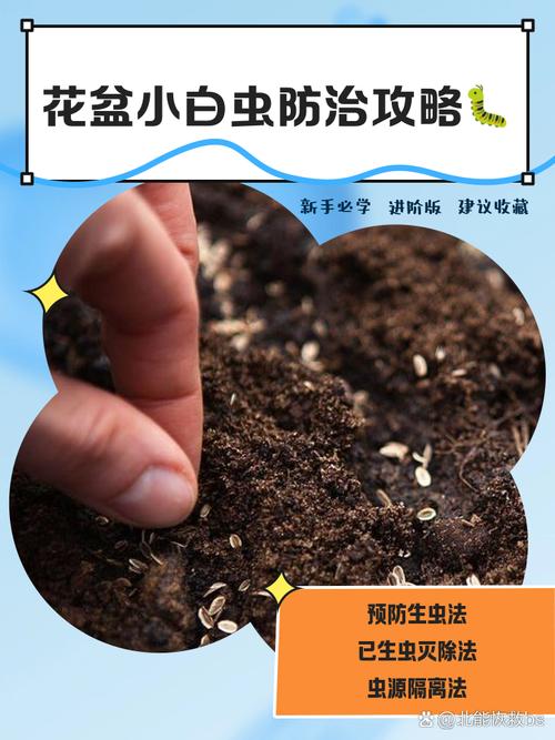 花盆里的小虫子怎么灭？安全无害方法