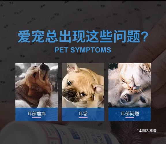 猫咪耳螨?滴「耳肤灵 + 按摩」