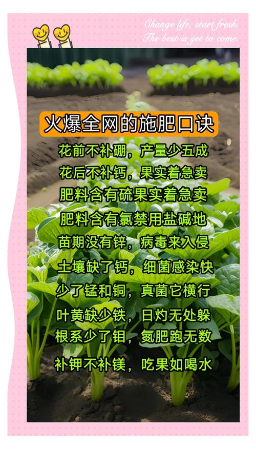 食虫植物施肥方法？叶面喷施浓度