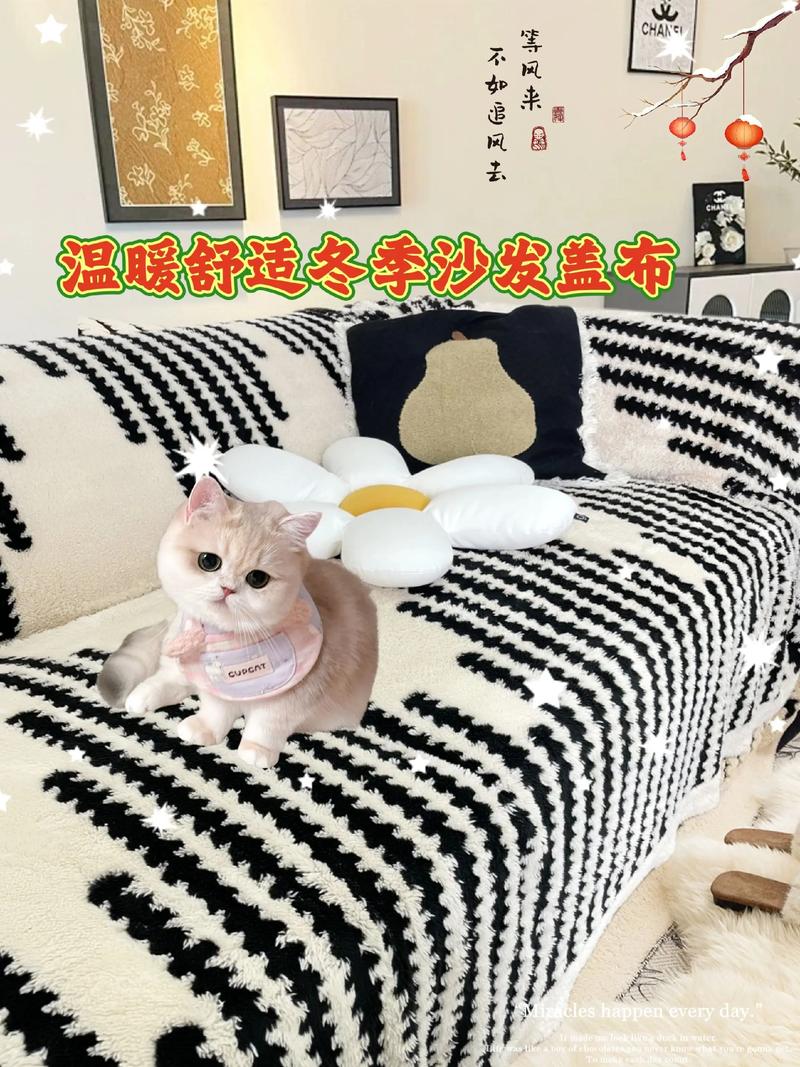 皮质沙发防猫抓!剑麻绳+热熔胶编织防护