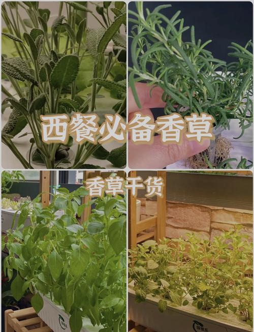 保存香料保持风味的诀窍