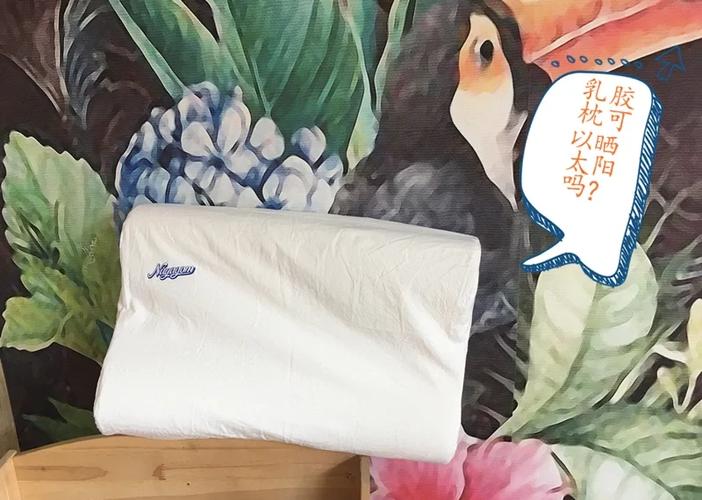 如何快速给枕头除螨?阳光和高温的技巧